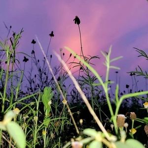 Meet your Posher, Henry